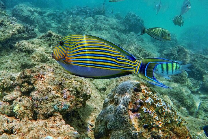 scuba diving trincomalee